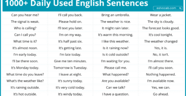 1000+ Basic English Sentences Used in Daily Life with PDF