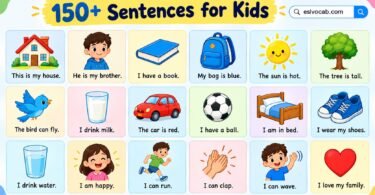 150+ Easy Sentences for Kindergarten Kids to Read and Write