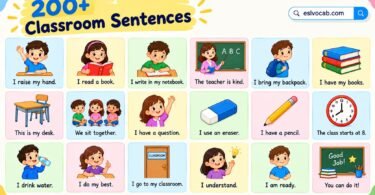 200+ Best Daily Use Classroom Sentences for Students in English