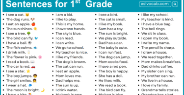 300 Easy Sentences for 1st Grader Every Student Should Know