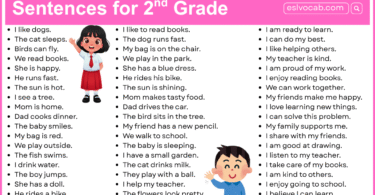 Grade 2 Sentences: 500+ Easy Kids Friendly Sentences with PDF