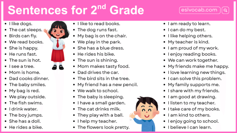 Grade 2 Sentences: 500+ Easy Kids Friendly Sentences with PDF